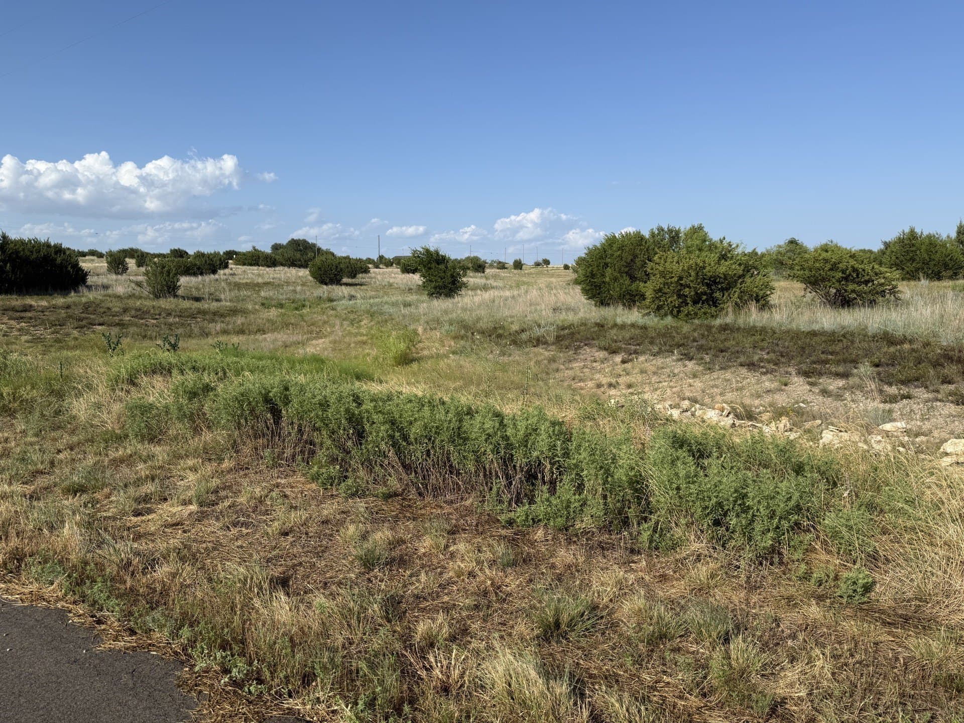 2.5 acres in Hood County gallery image 2
