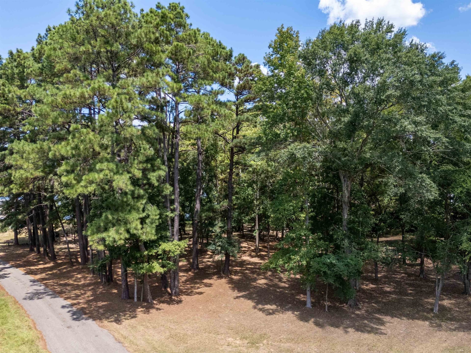 1.57 acres in Panola County - photo 8