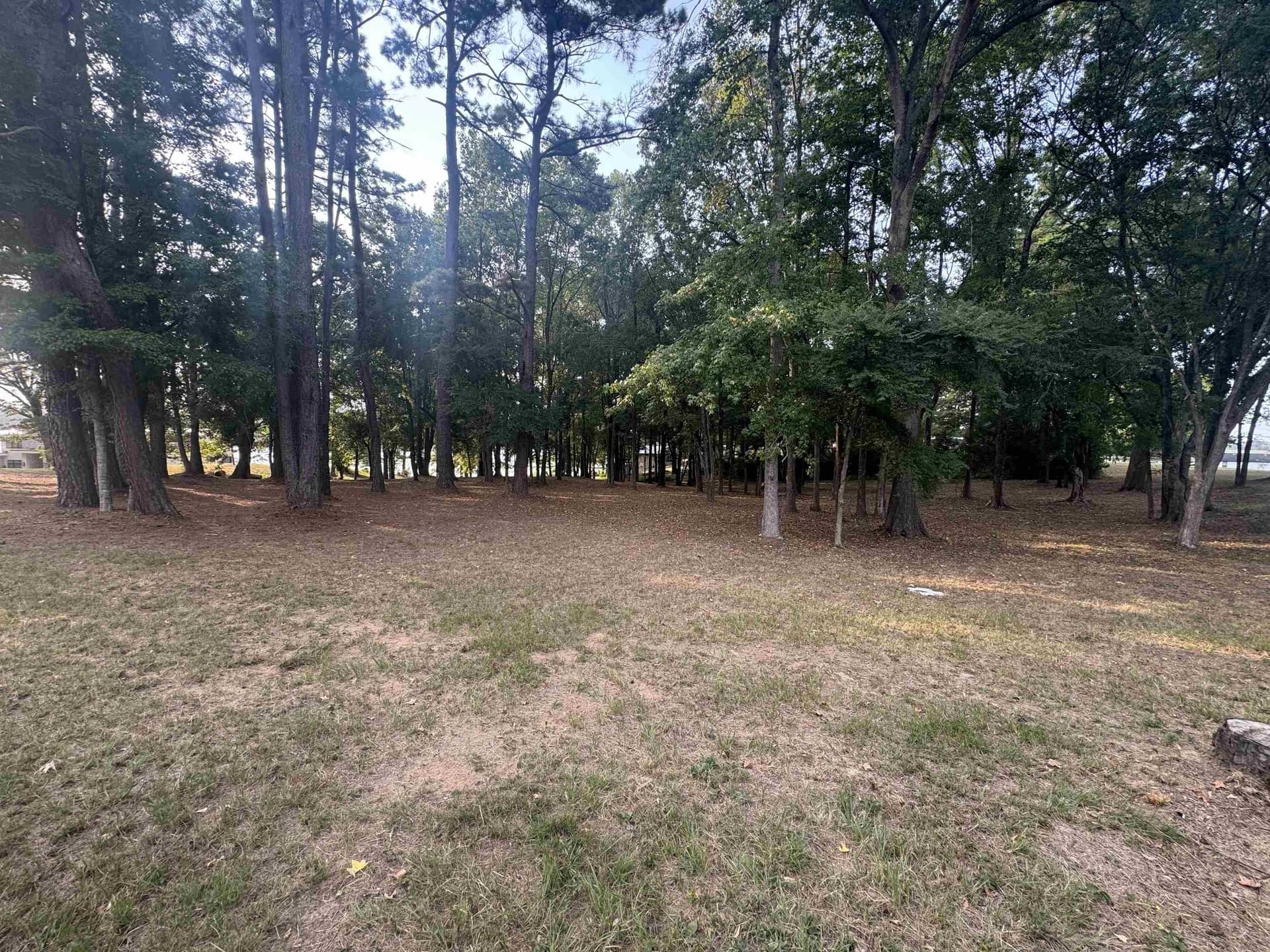 1.57 acres in Panola County - photo 10