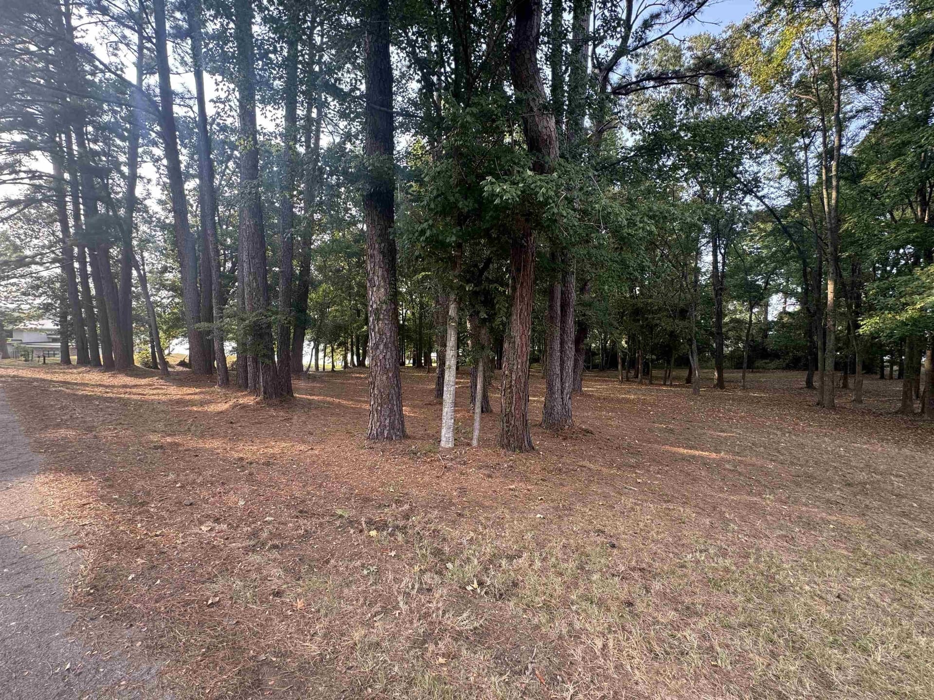 1.57 acres in Panola County - photo 9