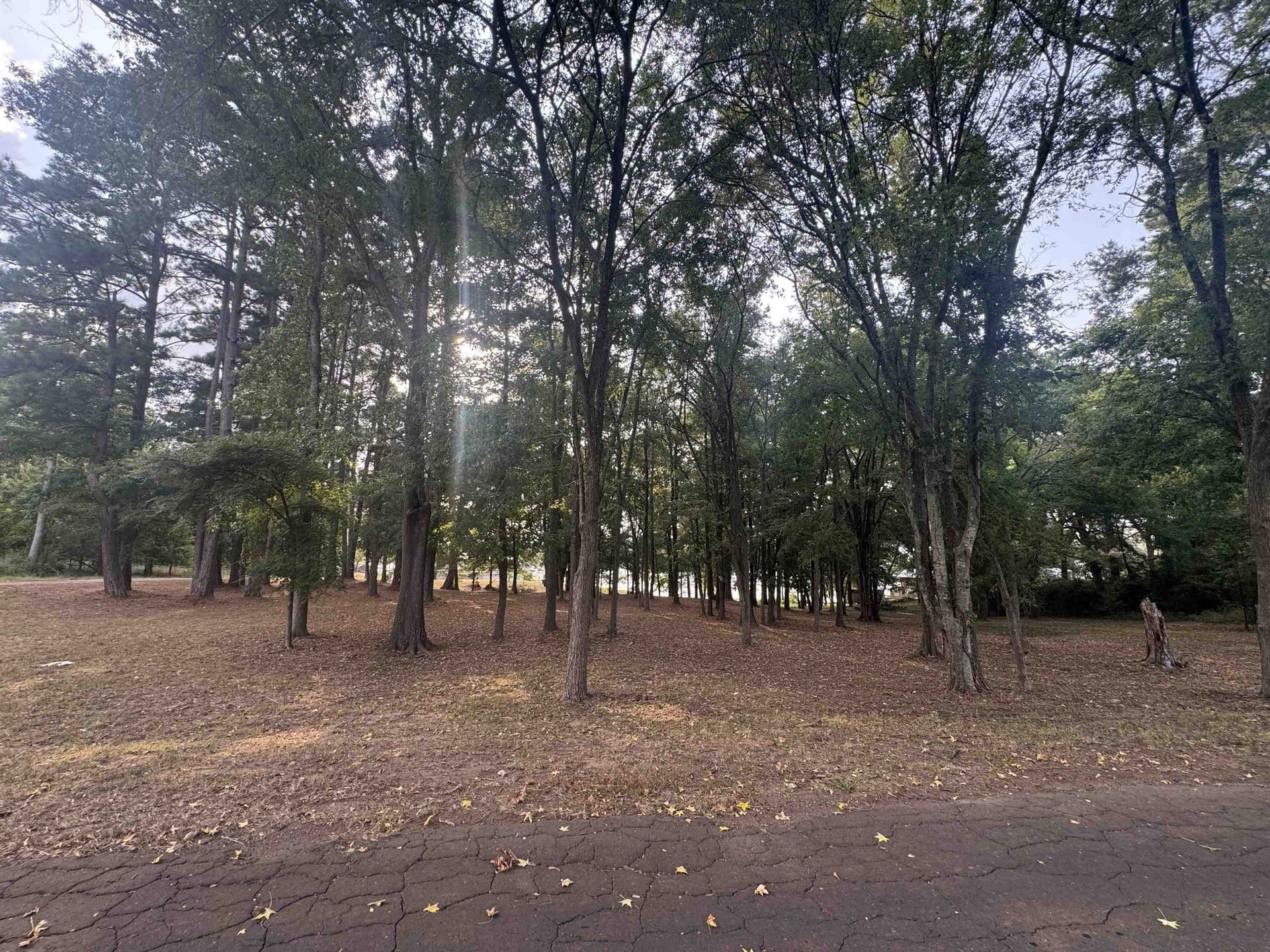 1.57 acres in Panola County - photo 11