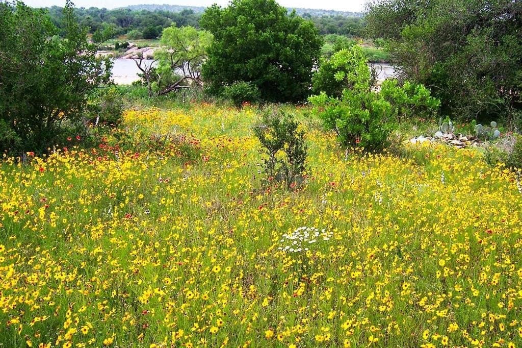 30 acres in Mason County - photo 20