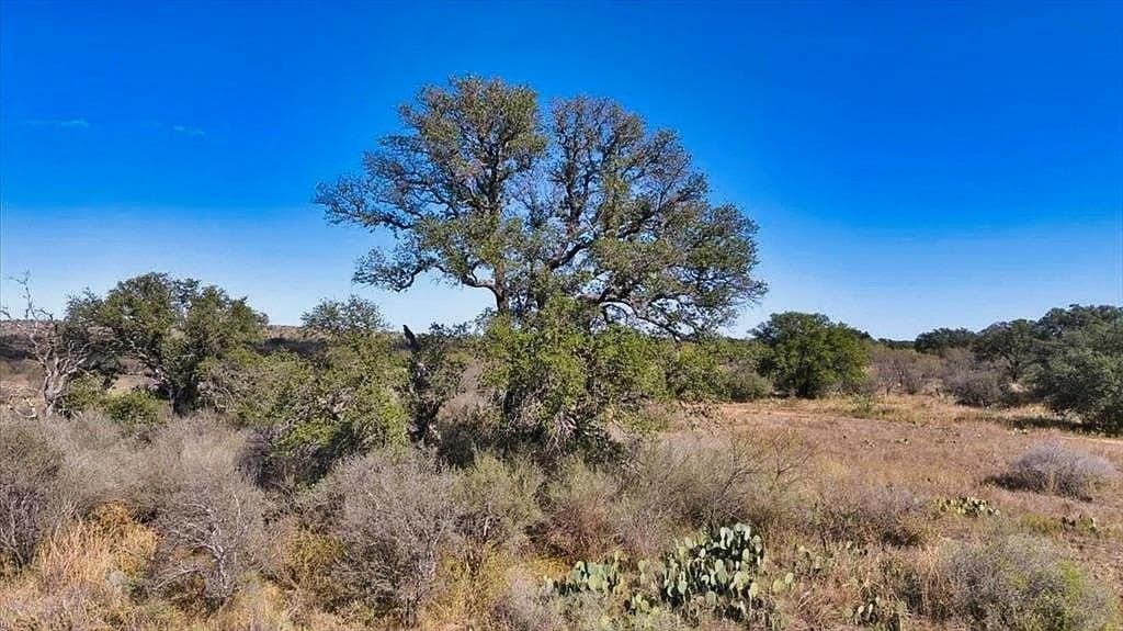 30 acres in Mason County - photo 34