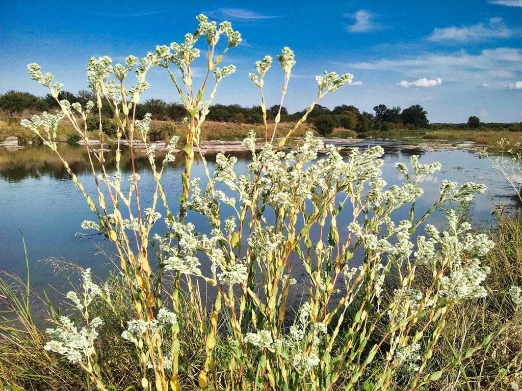 30 acres in Mason County - photo 30