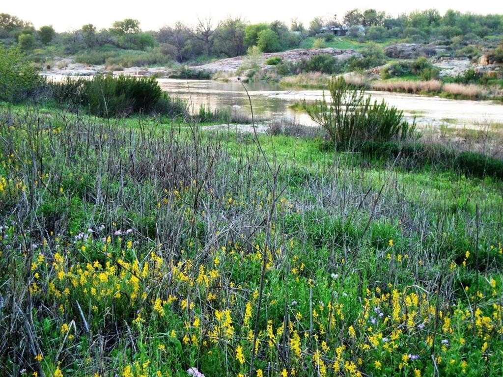 30 acres in Mason County - photo 55