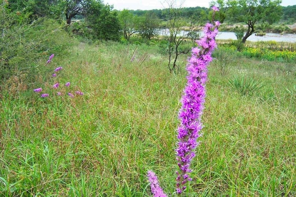 30 acres in Mason County - photo 37