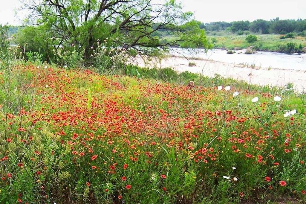 30 acres in Mason County - photo 47