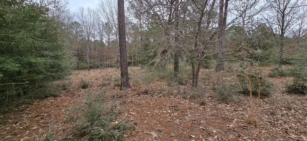 1.06 acres in Texas County gallery image 2