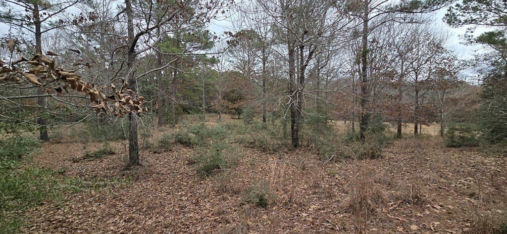 1.06 acres in Texas County gallery image 3