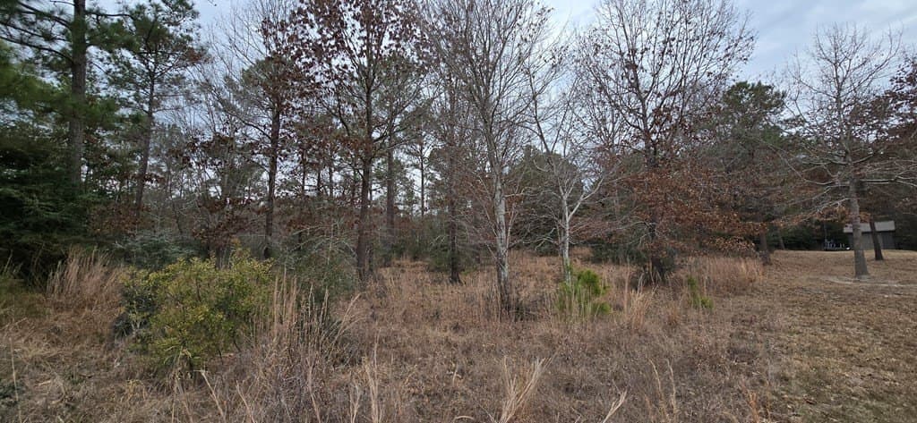 1.06 acres in Texas County gallery image 4