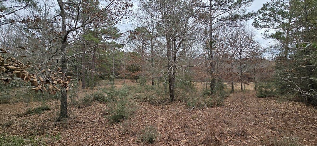 1.06 acres in Texas County featured view