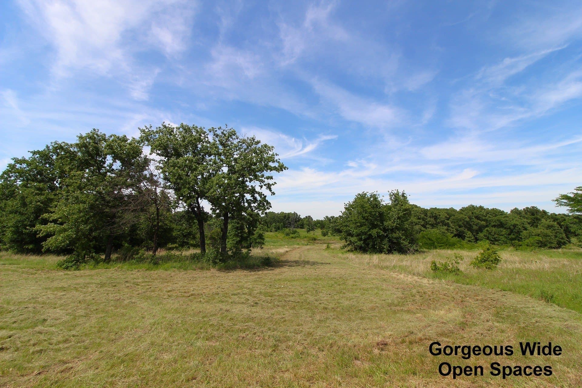 13.07 acres in Montague County - photo 27