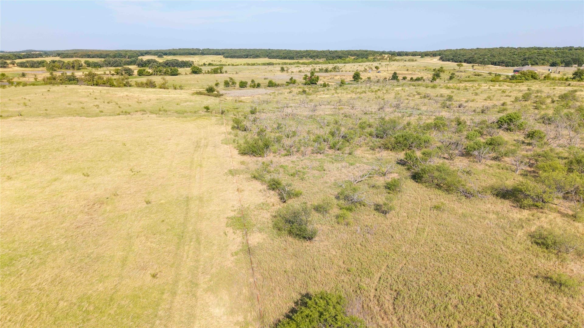 50 acres in Clay County gallery image 4