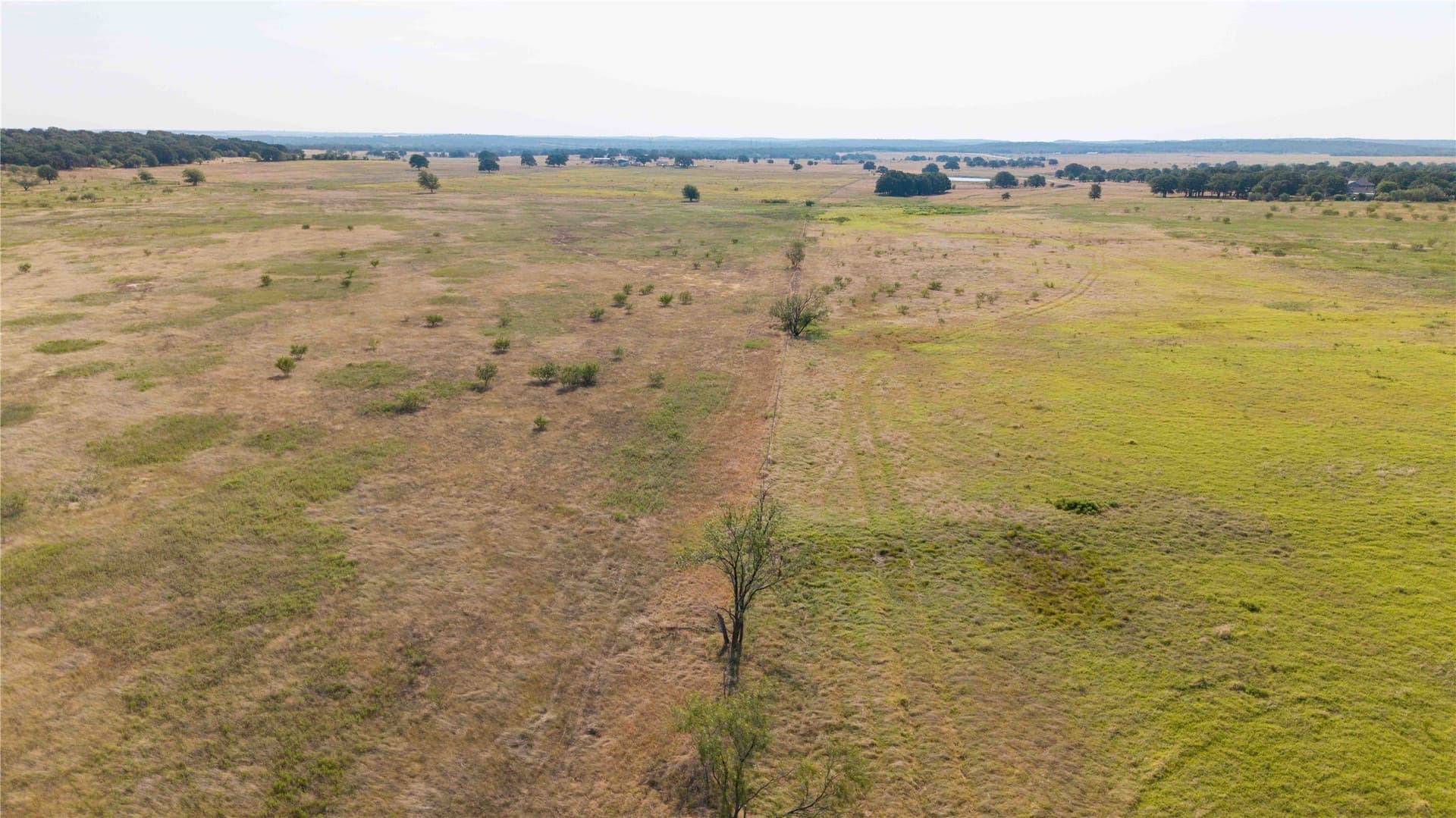 50 acres in Clay County gallery image 2