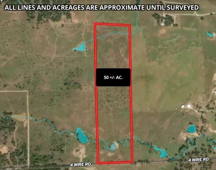 50 acres in Clay County - photo 9
