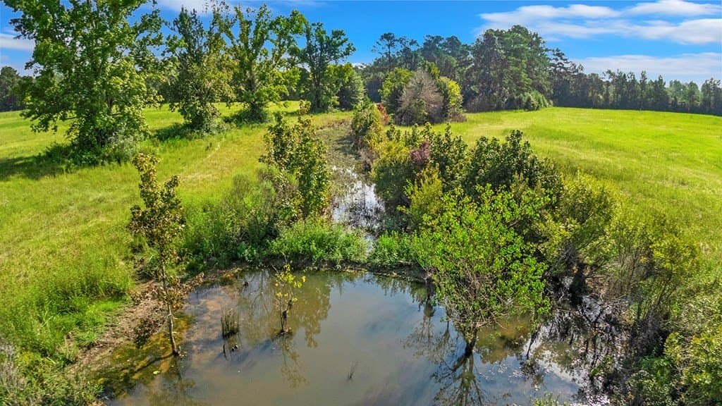 20 acres in Texas County featured view