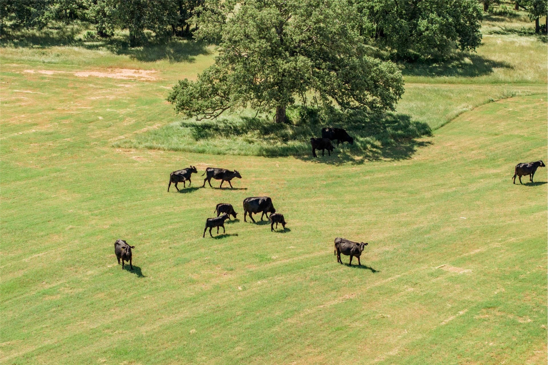 44.55 acres in Denton County - photo 16
