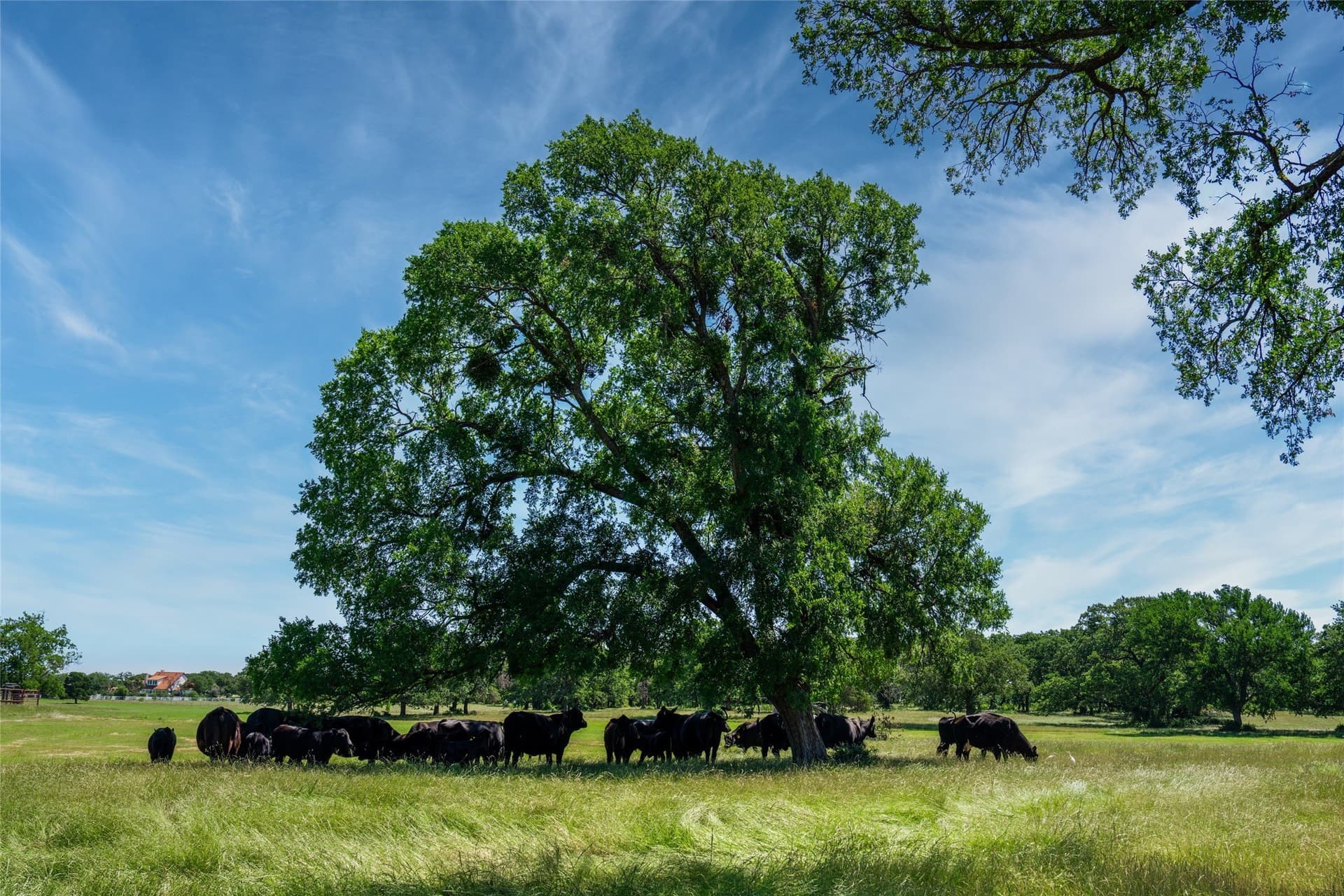 44.55 acres in Denton County - photo 8