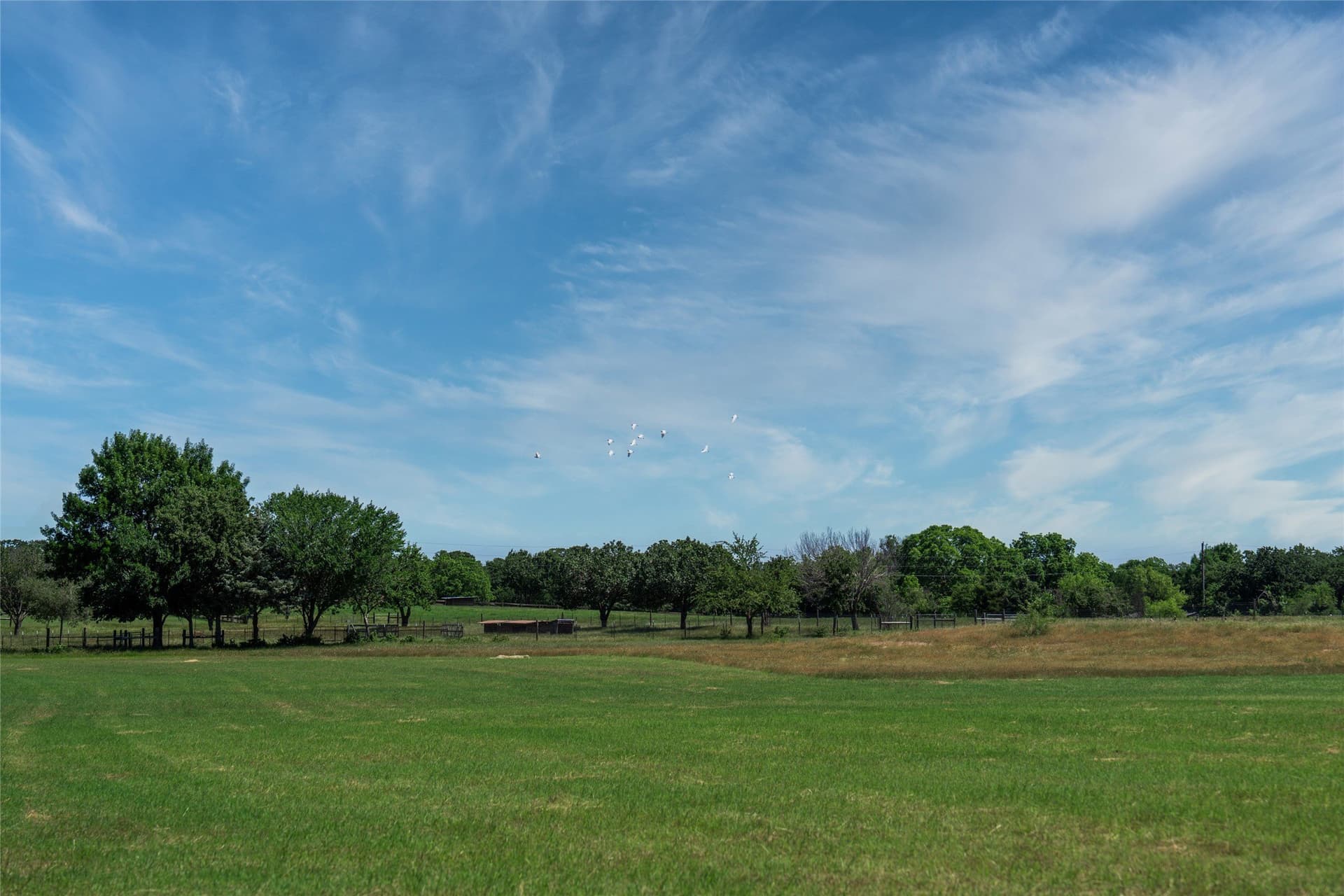 44.55 acres in Denton County - photo 12