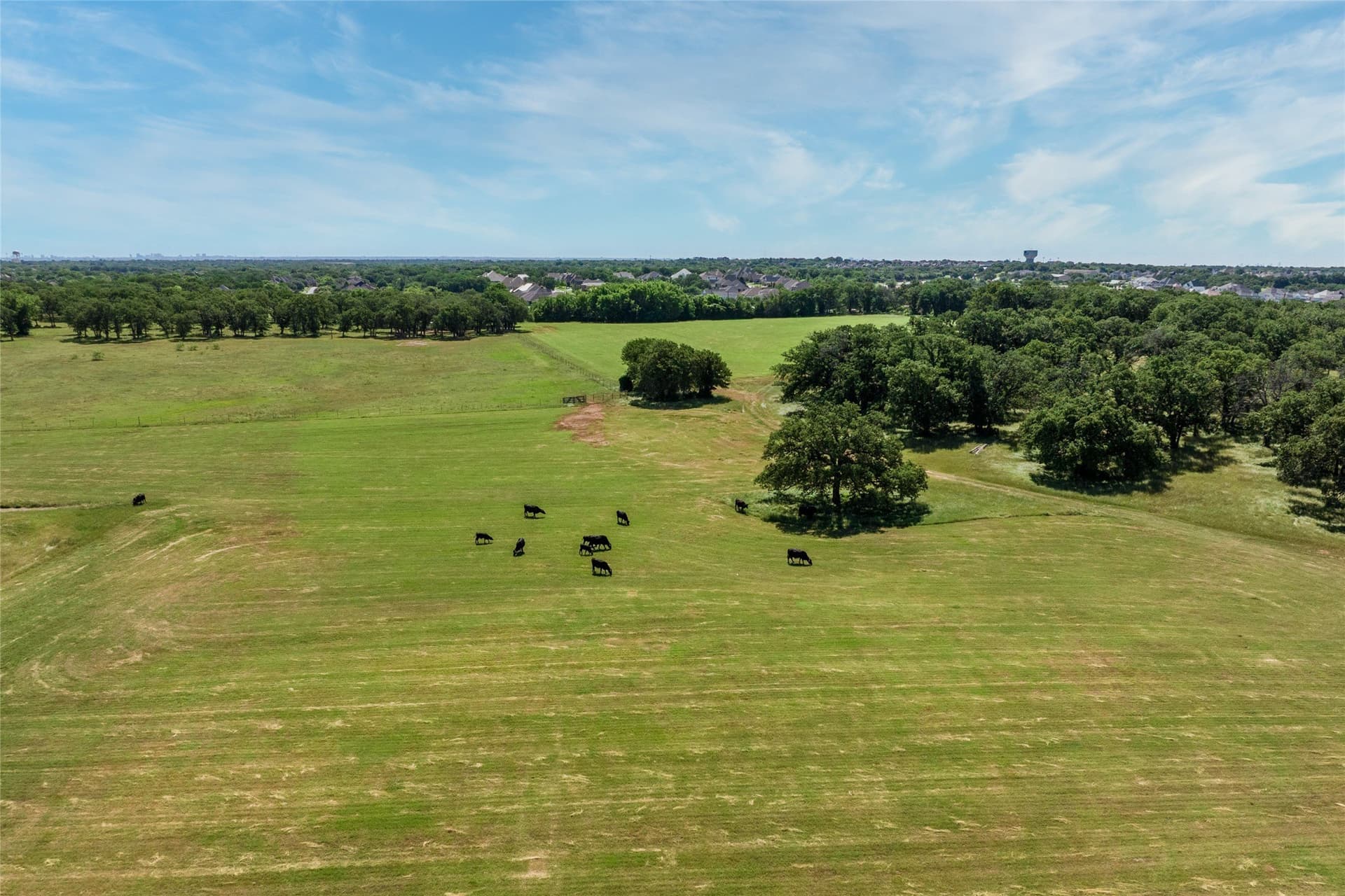 44.55 acres in Denton County - photo 5