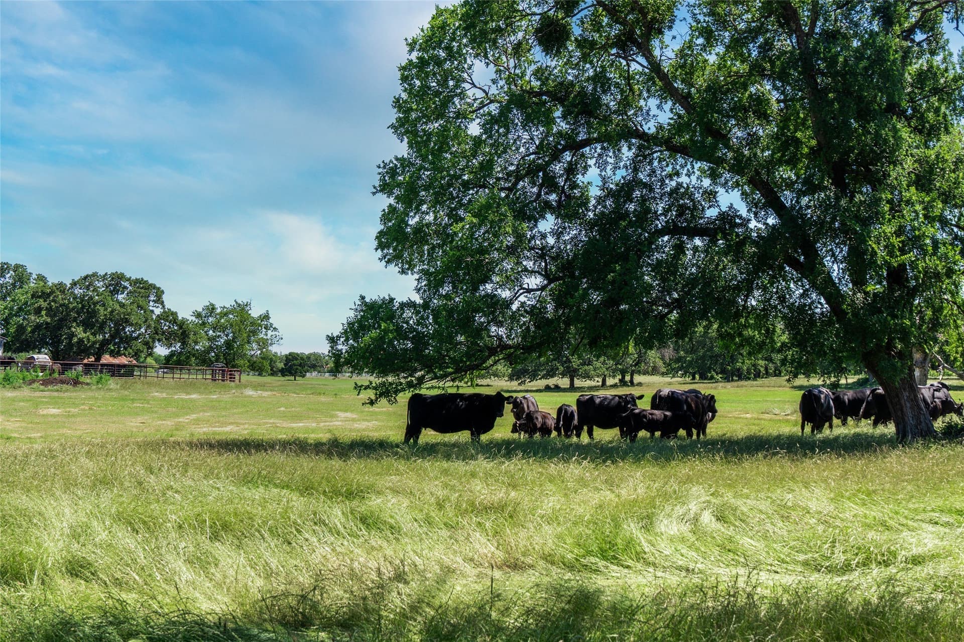 44.55 acres in Denton County - photo 9