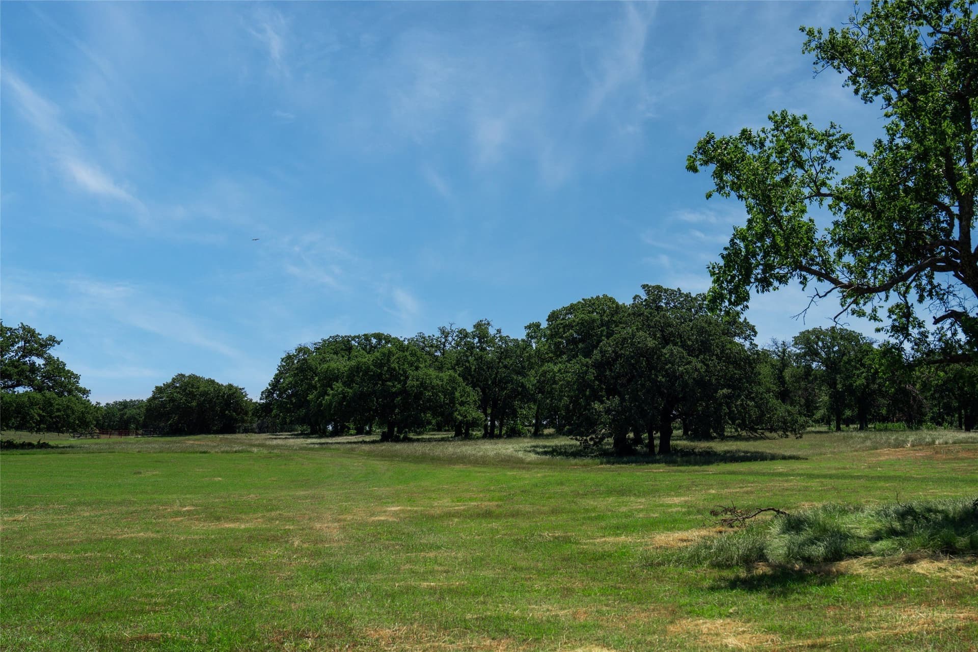 44.55 acres in Denton County - photo 10