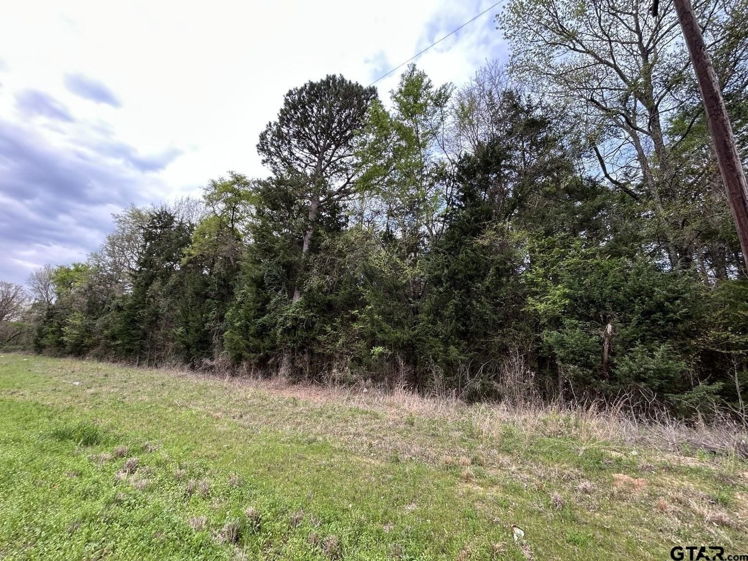 2.31 acres in Camp County gallery image 3