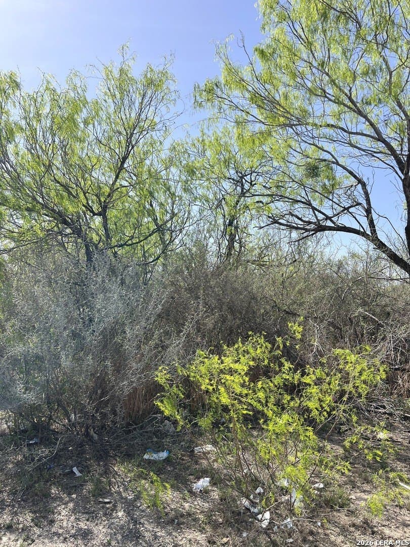 0.15 acres in Bexar County - photo 2