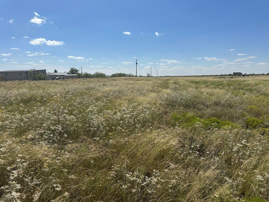 4.42 acres in Gaines County gallery image 3