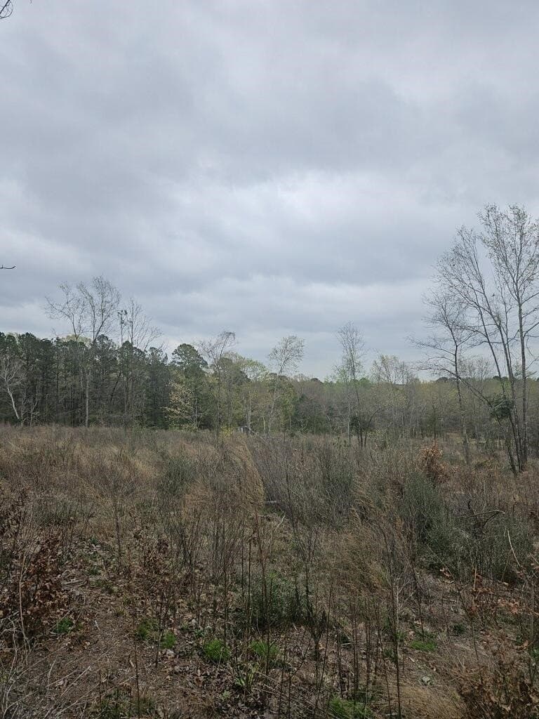 20 acres in Texas County gallery image 3