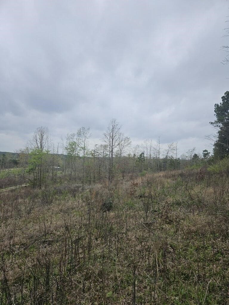 20 acres in Texas County gallery image 4