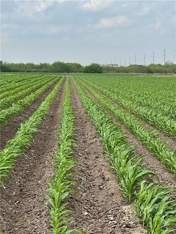 22.97 acres in Hidalgo County
