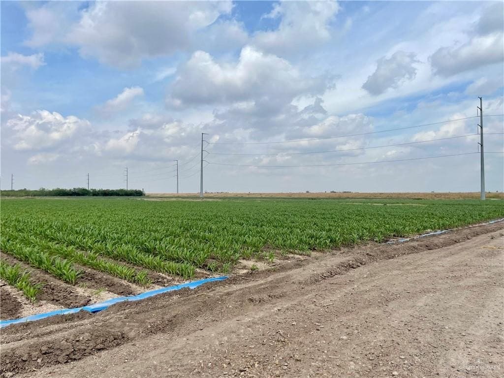 22.97 acres in Hidalgo County gallery image 2