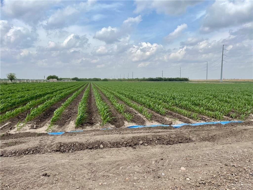 22.97 acres in Hidalgo County gallery image 3