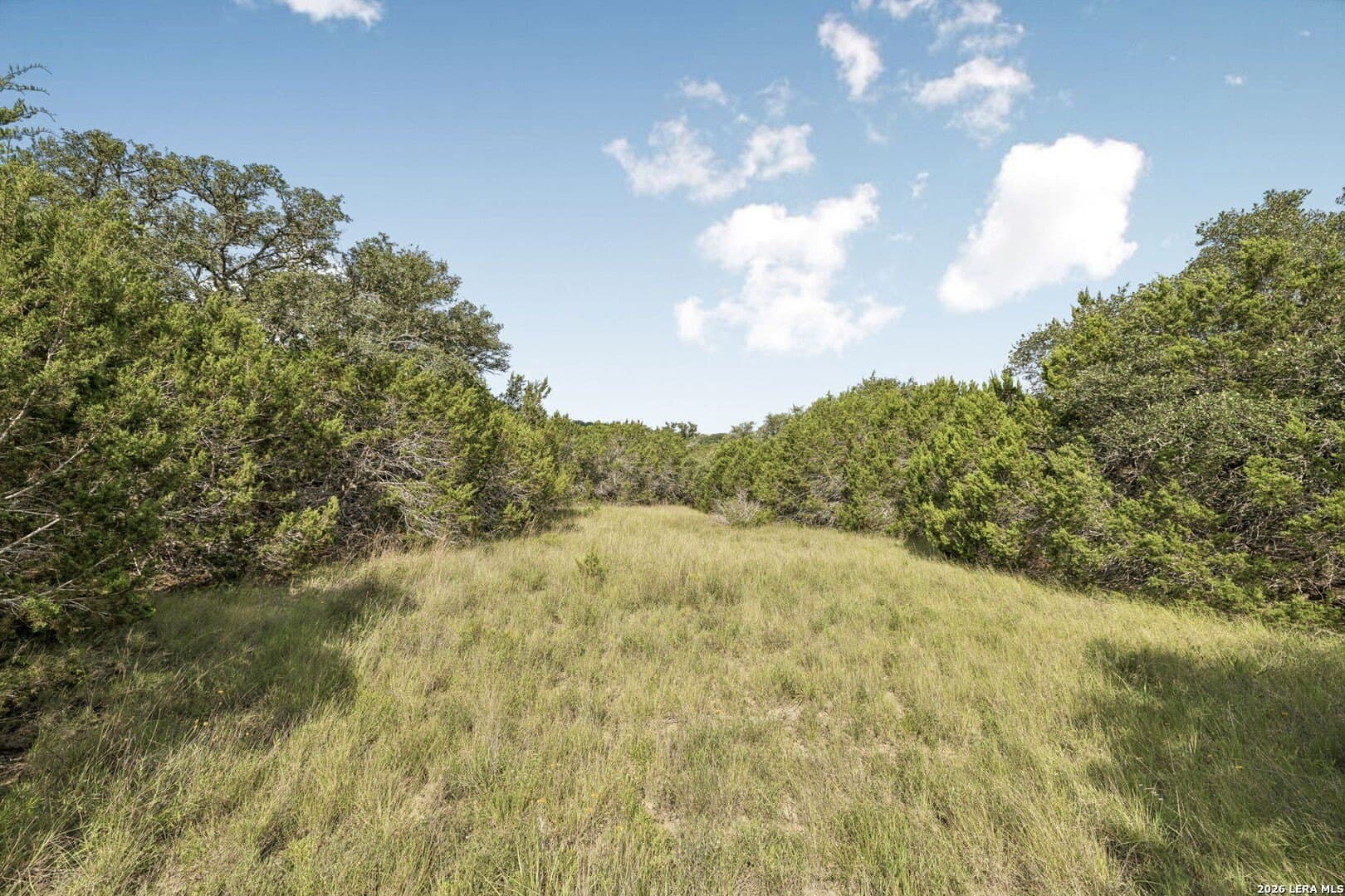 10.71 acres in Kendall County - photo 17