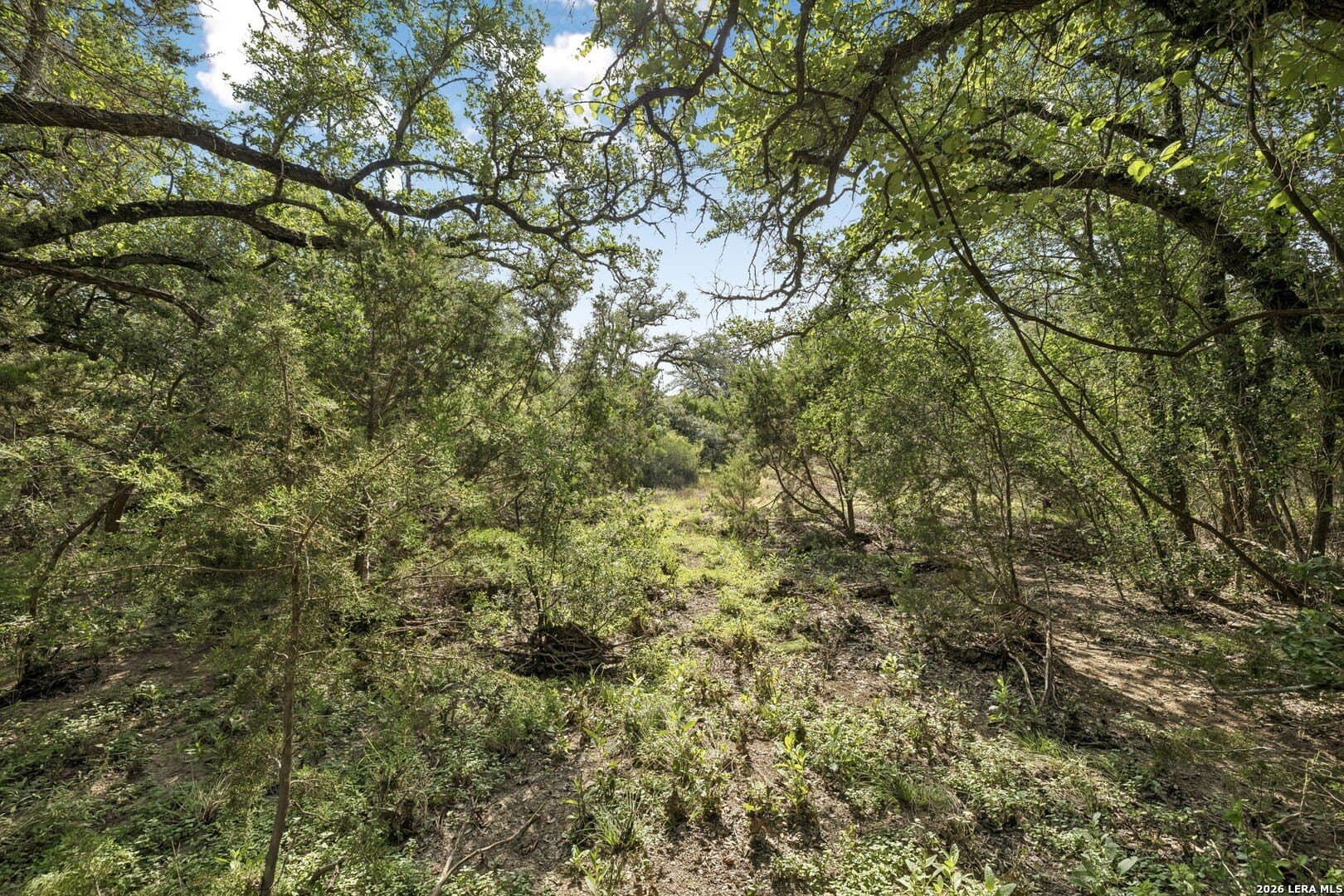 10.71 acres in Kendall County - photo 6