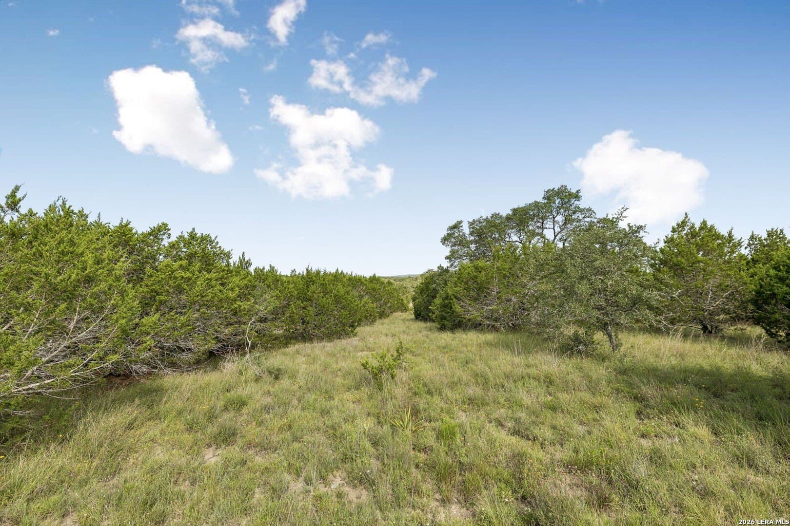 10.71 acres in Kendall County - photo 19