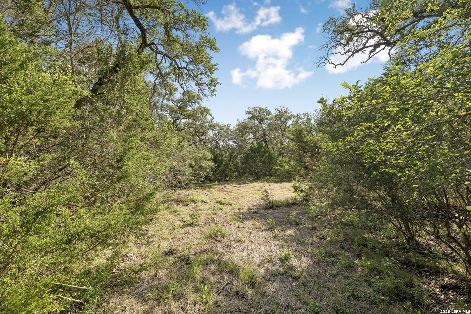 10.71 acres in Kendall County - photo 8