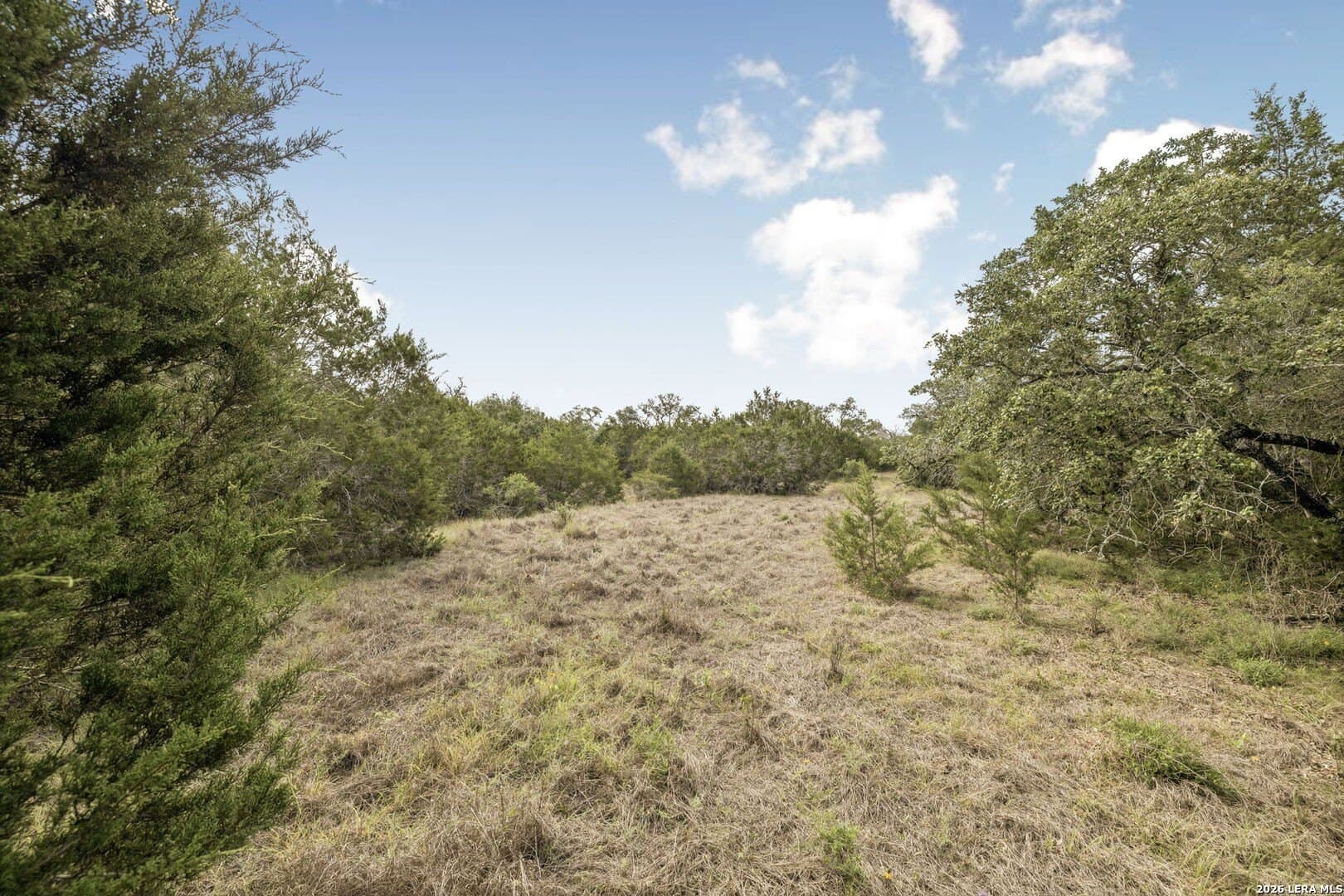 10.71 acres in Kendall County - photo 14