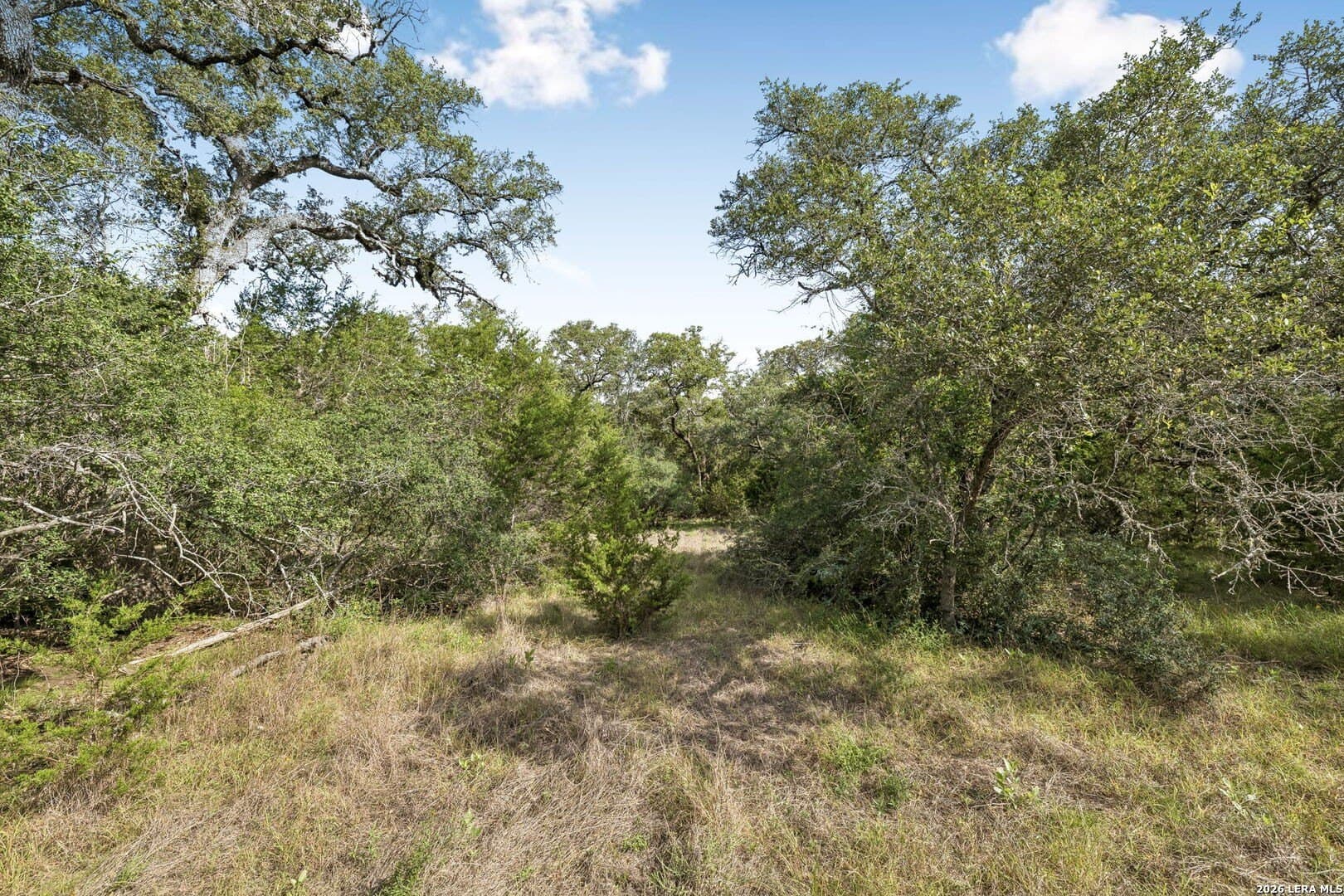 10.71 acres in Kendall County - photo 9