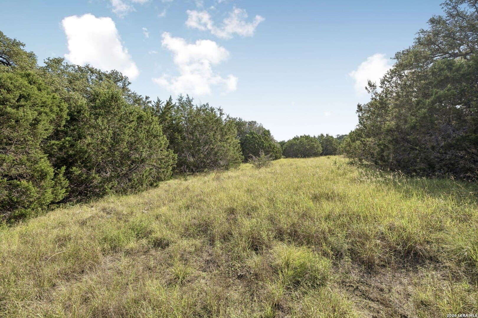 10.71 acres in Kendall County - photo 16