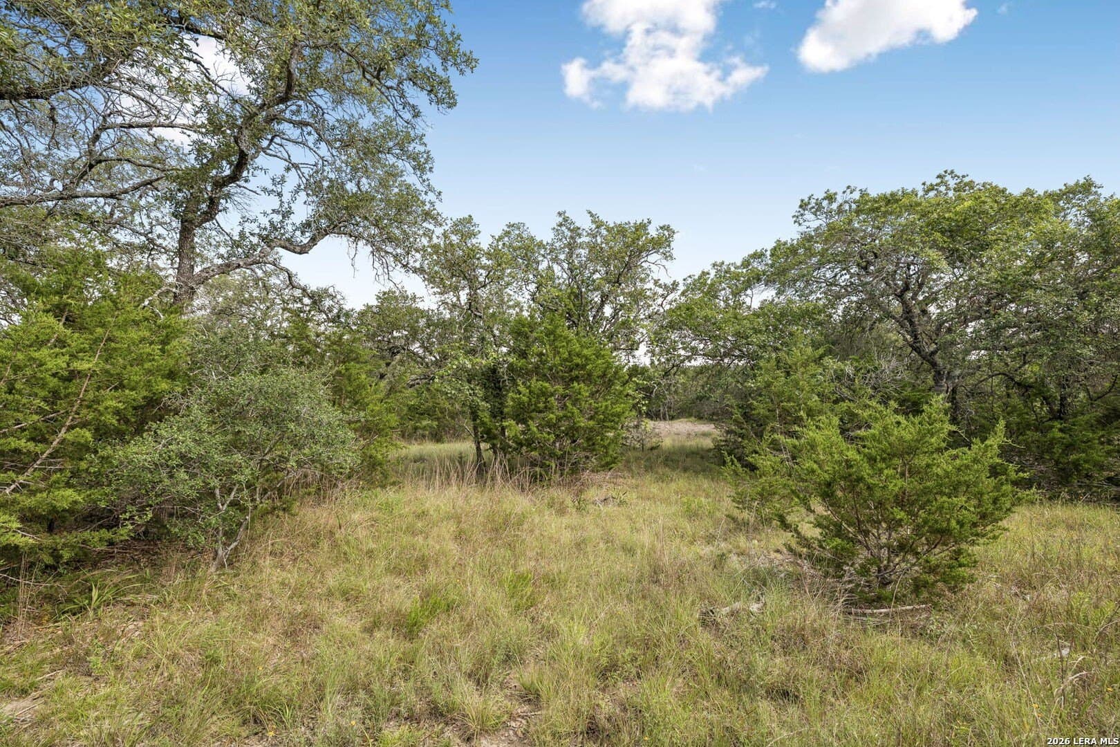 10.71 acres in Kendall County - photo 11