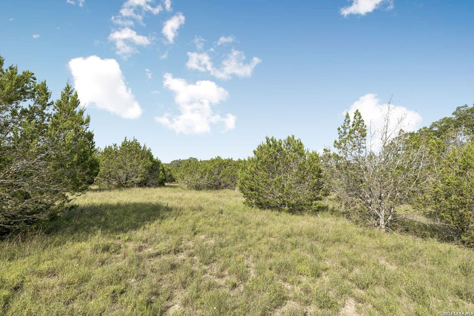 10.71 acres in Kendall County - photo 20