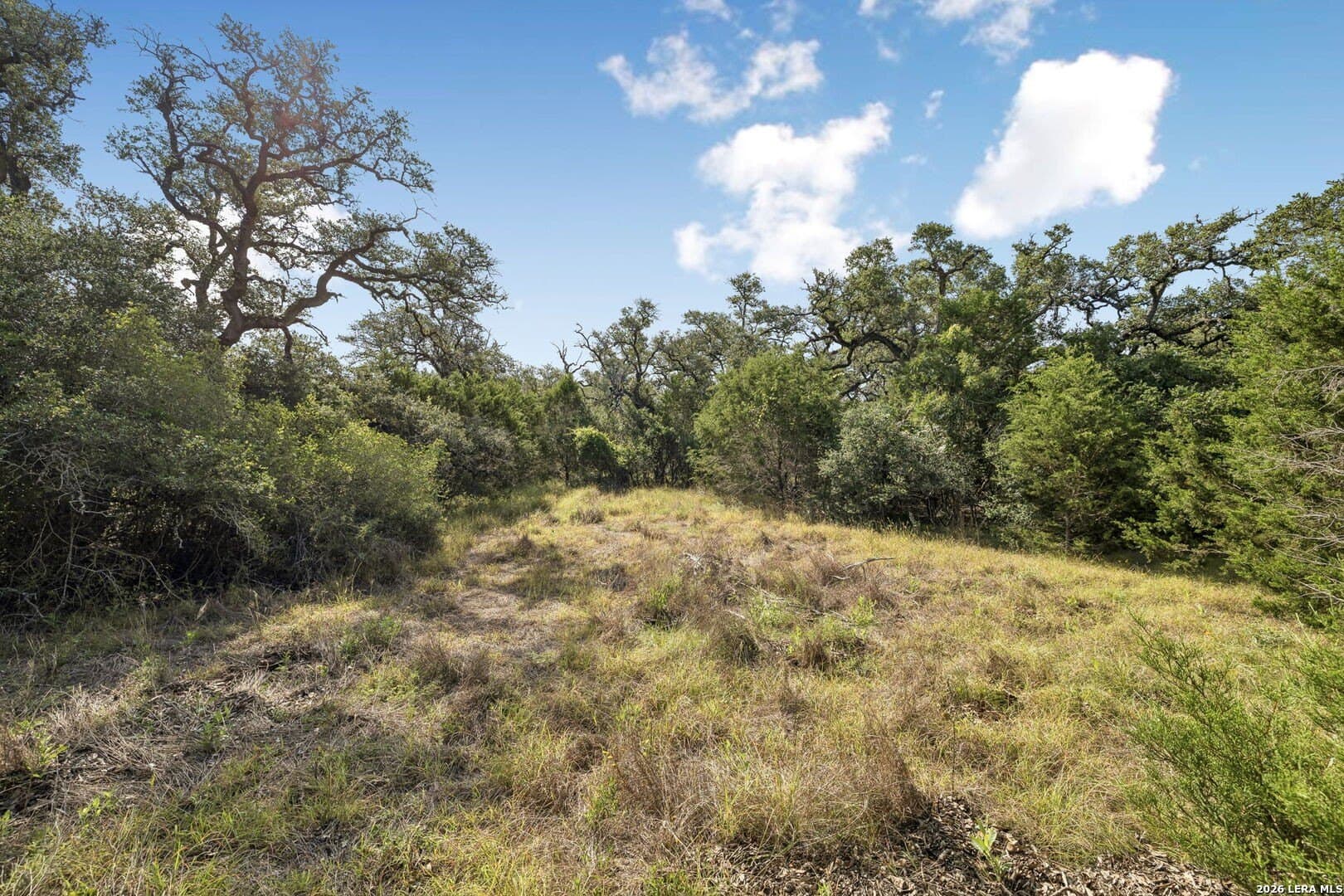 10.71 acres in Kendall County - photo 7