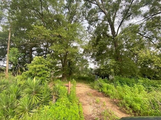 10 acres in Texas County - photo 9