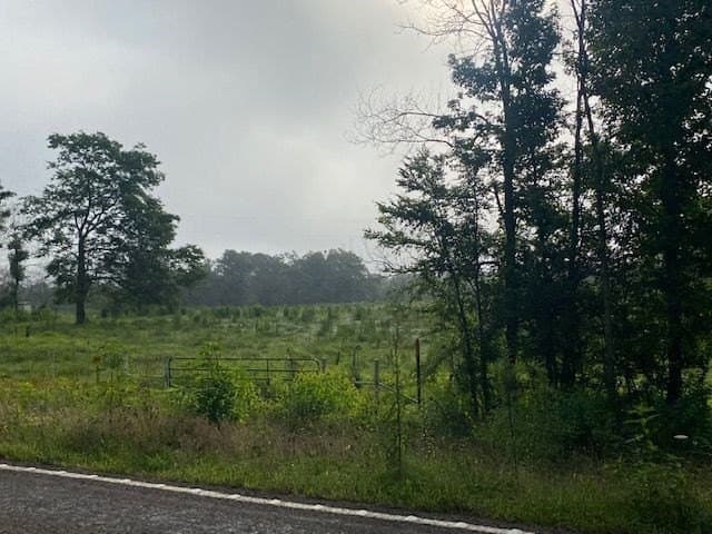 10 acres in Texas County gallery image 4