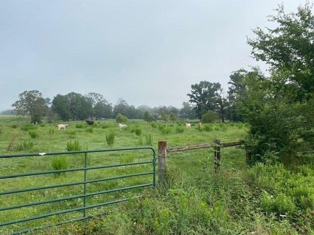 10 acres in Texas County - photo 11