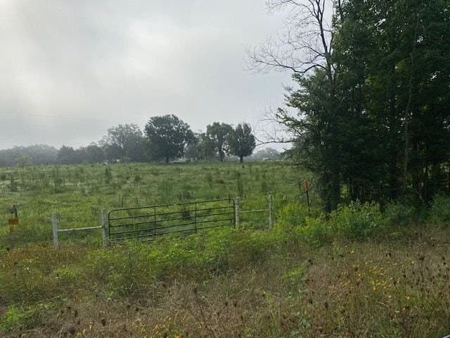 10 acres in Texas County featured view
