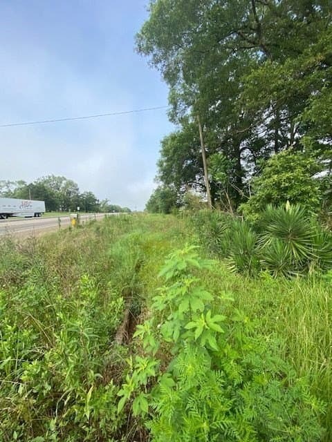 10 acres in Texas County - photo 17