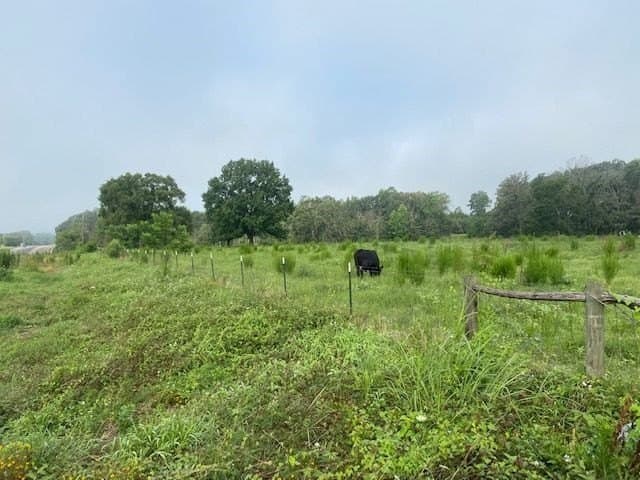 10 acres in Texas County - photo 12